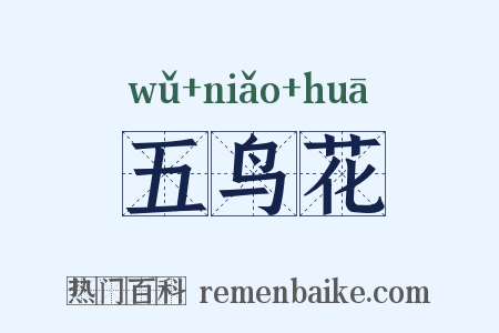 五鸟花是什么意思的图片